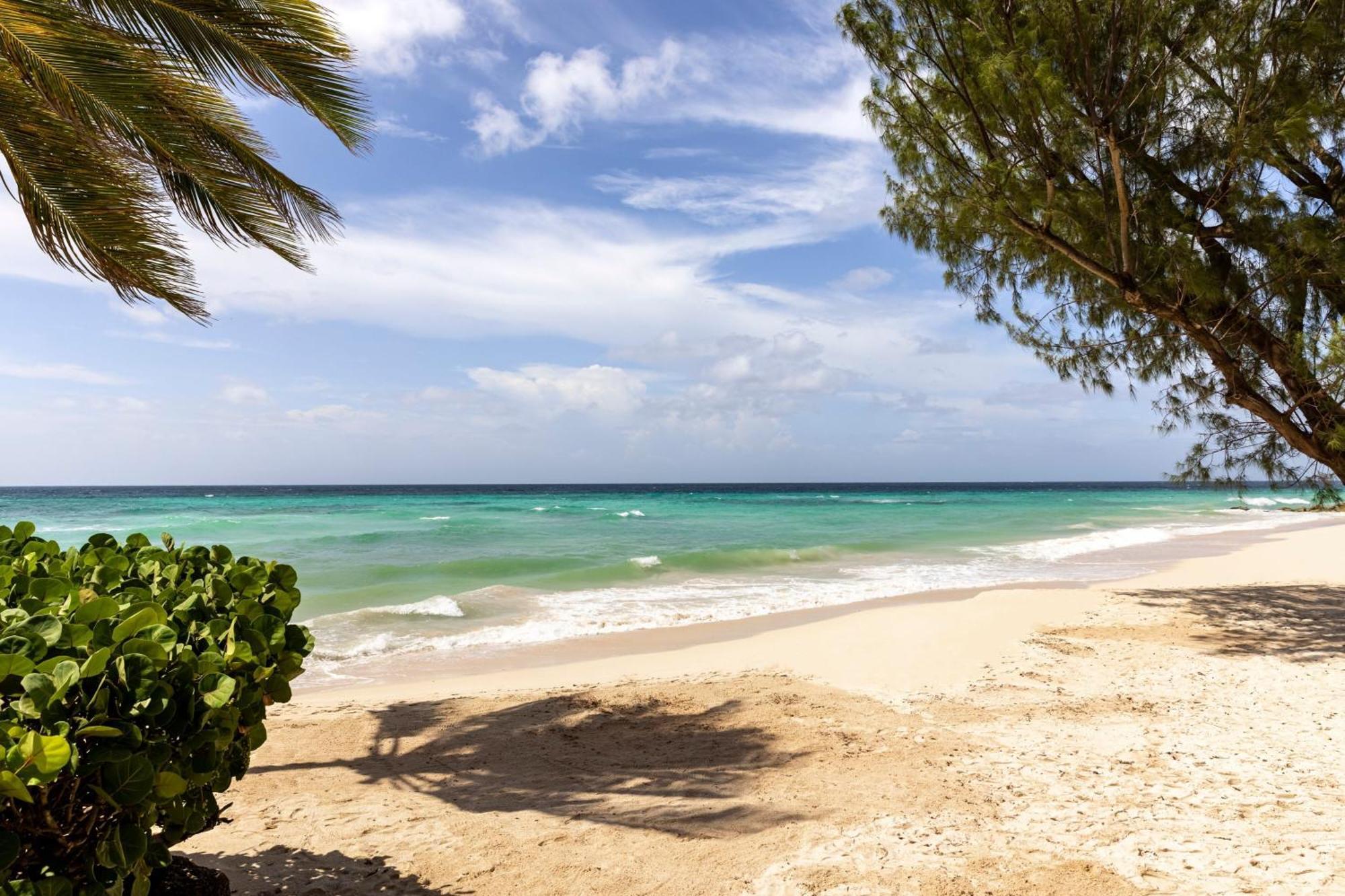 Resort Turtle Beach, A Tribute Portfolio 4*