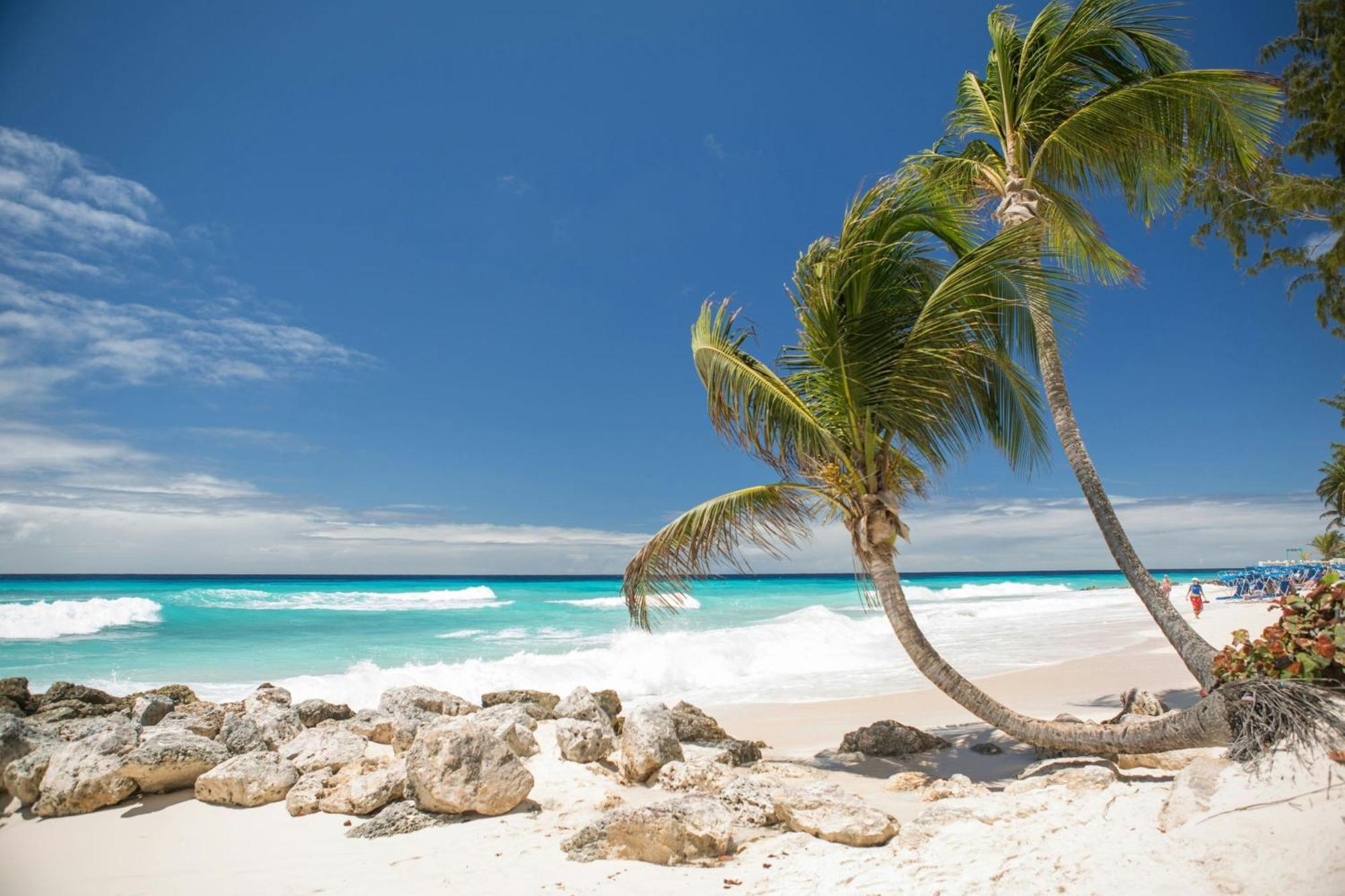 Resort Turtle Beach, A Tribute Portfolio