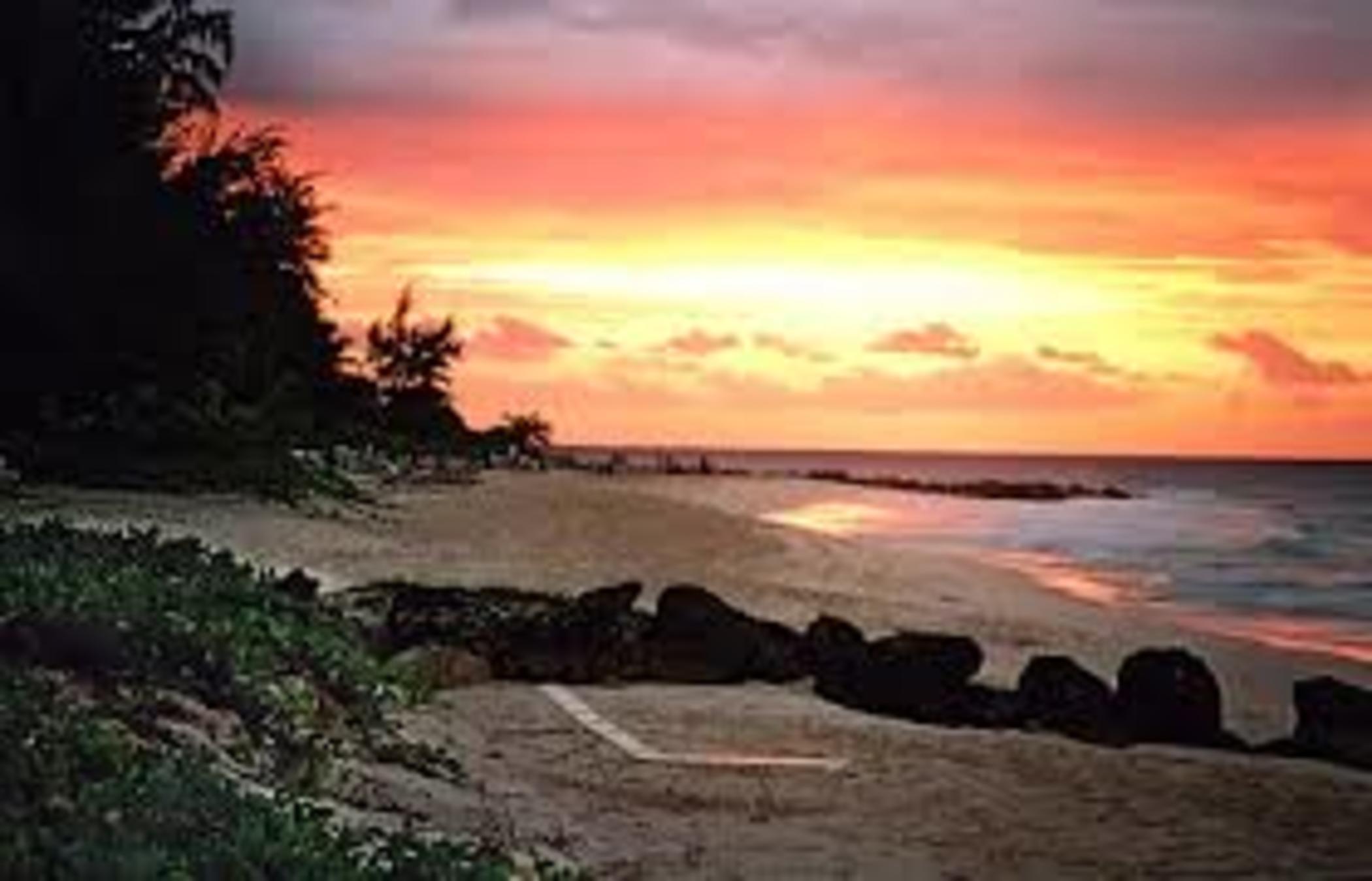 Resort Turtle Beach, A Tribute Portfolio Christ Church