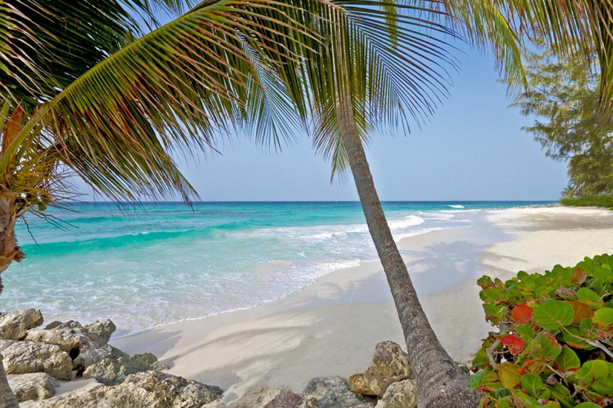 Turtle Beach, A Tribute Portfolio Resort Christ Church
